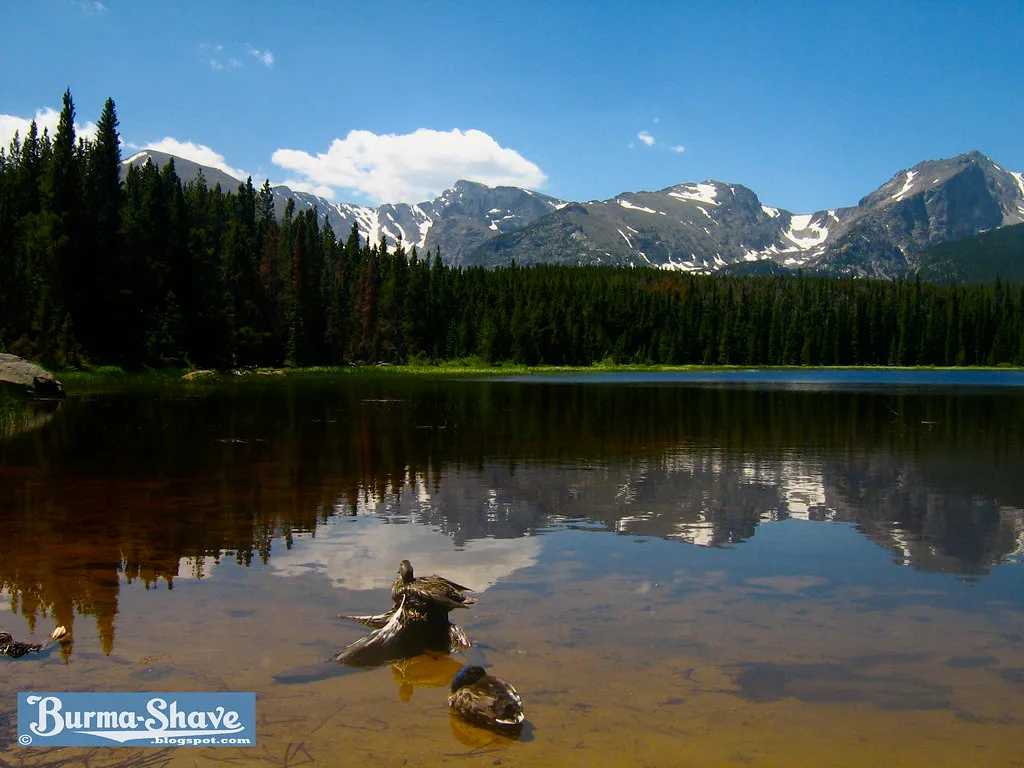 Lake Reflections