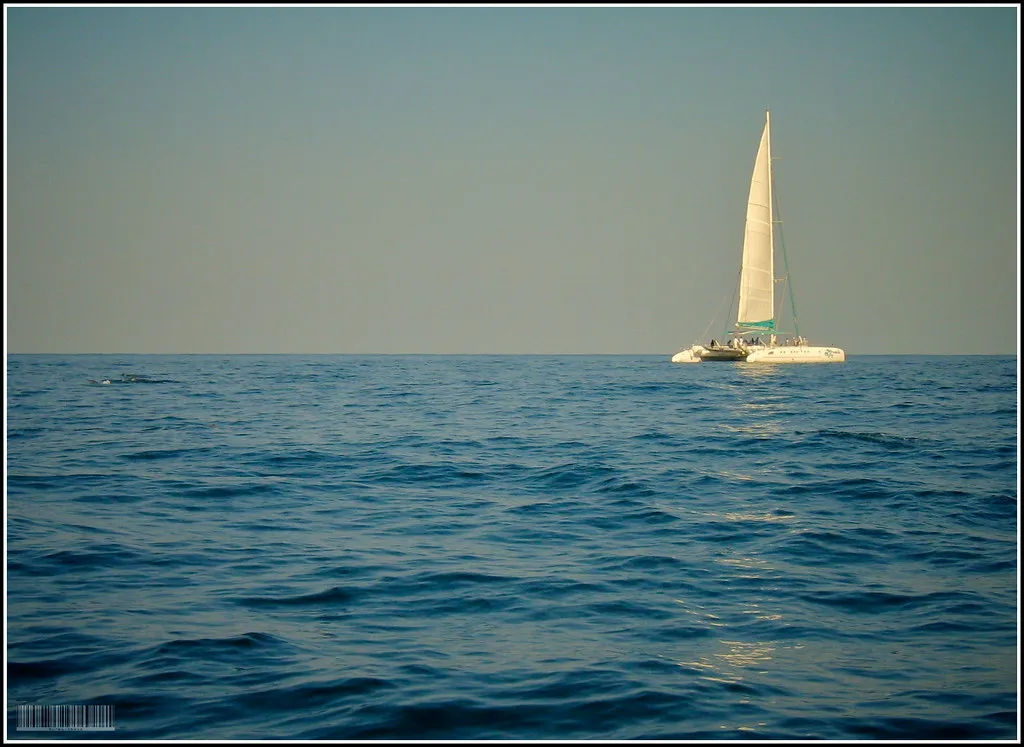 Sail Away
